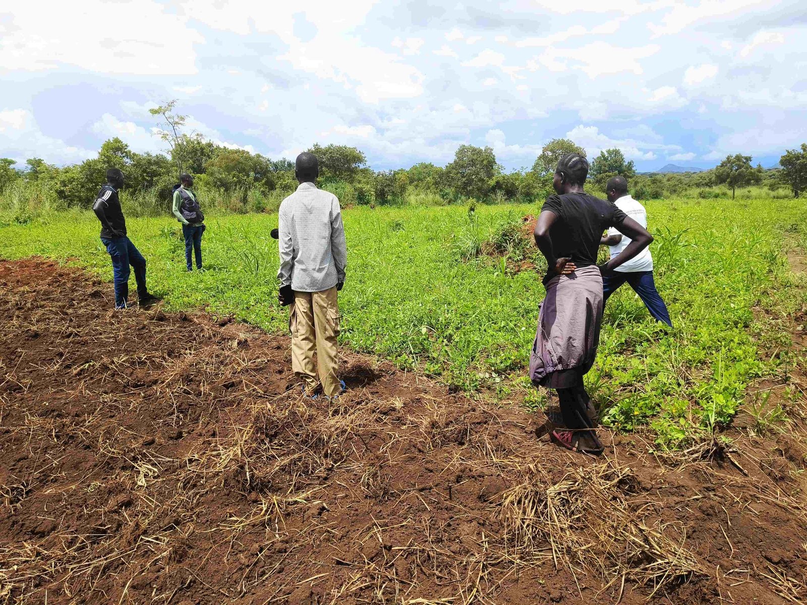 Agriculture Project Showcase