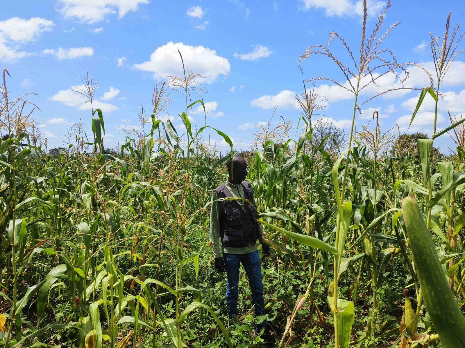 Community empowerment in South Sudan